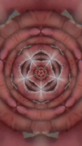 Art Morph GIF by Aleksey Efremov