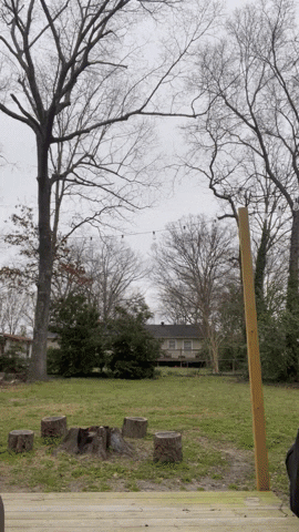 Raytay17 giphyupload GIF