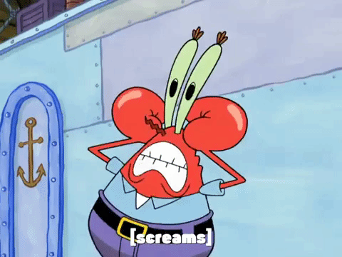 season 8 episode 6 GIF by SpongeBob SquarePants