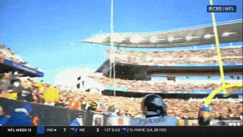 Celebration Nfl GIF by Pittsburgh Steelers