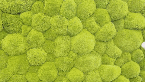 GIF by Staffbase