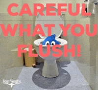 Texas Clog GIF by Fort Worth Water