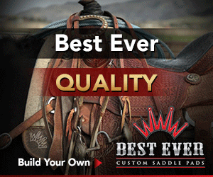 Horse Saddle GIF by Best Ever Pads