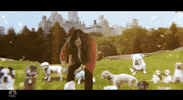 Snl GIF by Saturday Night Live