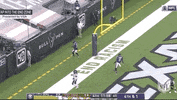 Regular Season Fighting GIF by NFL