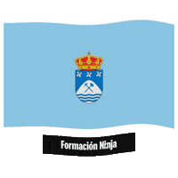 Flag Spain Sticker by Formación Ninja