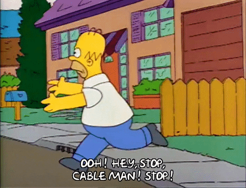 Season 2 Episode 13 GIF by The Simpsons