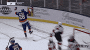 celebrate ice hockey GIF by NHL