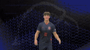 Cnms GIF by Carson-Newman Athletics