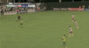 new york red bulls arun GIF by NYRB II