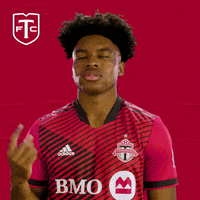 Major League Soccer No GIF by Toronto FC