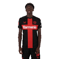 Posing Bayer 04 Sticker by Bayer 04 Leverkusen