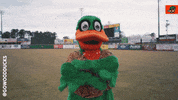 Baseball Texas GIF by Down East Wood Ducks