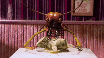 season 3 termite GIF by Portlandia