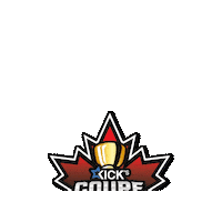 Kickscheer cheer cheerleading kickscheer canadacup Sticker