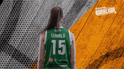 Sport Basketball GIF by Basket_fi