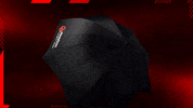 Pietro Fittipaldi Pf GIF by Haas F1 Team