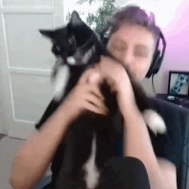Cat Chump GIF by Rooster Teeth