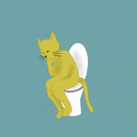 Miqan mustard the thinker on the toilet miqan GIF