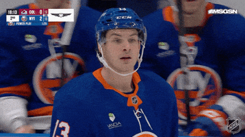 National Hockey League What GIF by NHL