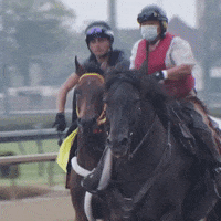 Churchill Downs Horse GIF by Kentucky Derby