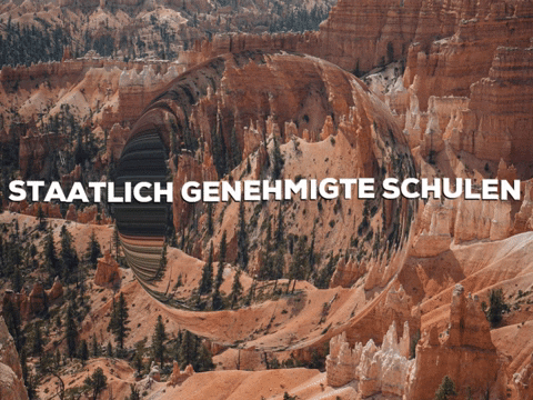 Fun Party GIF by PrivatschulenPORTAL.de