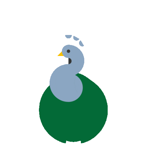 SignalTheory giphyupload bird peacock signal Sticker