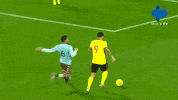 Watford Astonvilla GIF by MolaTV