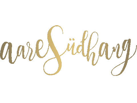 Logo Bern Sticker by AareSüdhang