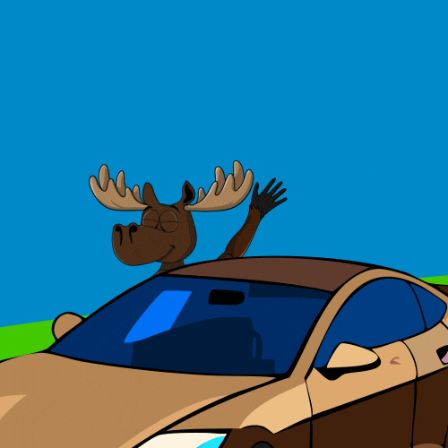 DoYouMoose giphyupload car nft driving GIF