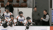 Ice Hockey Dance GIF by Cardiff Fire