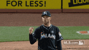 david pump GIF by MLB