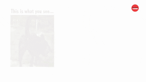 Dogs Memory GIF by BuzzFeed