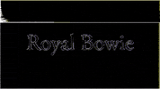 Bowie GIF by Sydenhamclub