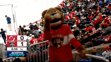 Happy Florida Panthers GIF by NHL