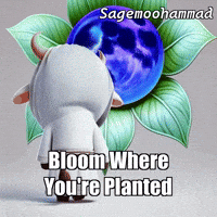 Flower Love GIF by Sagemoohammad