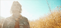 The Lion King Dcappella GIF by Walt Disney Records