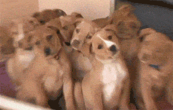 business meetings GIF