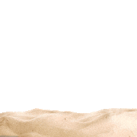 Rave Cruise Sticker by Insomniac Events