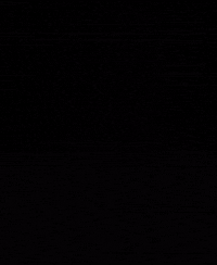 Zinedine Zidane Algeria GIF