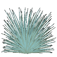 Grass Sticker by Illustrator.aki