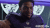 Football Celebrate GIF by Baltimore Ravens
