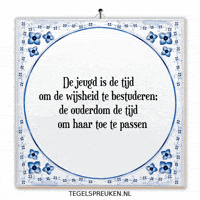 Humor Wijsheid GIF by Tegelspreuken.nl