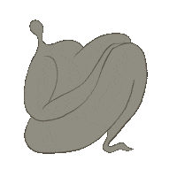 haliigwe pretty selflove chubby bodypositive Sticker