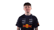 Red Bull Sr Sticker by Oracle Red Bull Racing