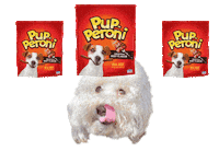 Hungry Dog Sticker by Pup-Peroni®