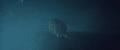 be together wild belle GIF by MAJOR LAZER