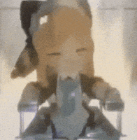 riceguy meme blue archive electric chair momoi GIF