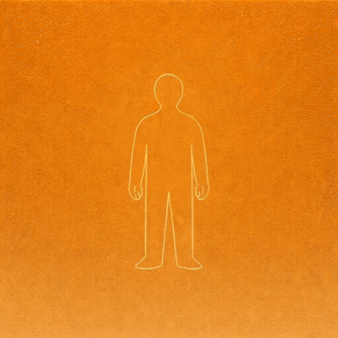 World Find GIF by WeQuorum