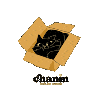 Cat Nin Sticker by FVO Alimentos